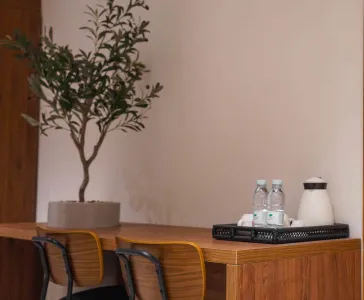 شقة استوديو